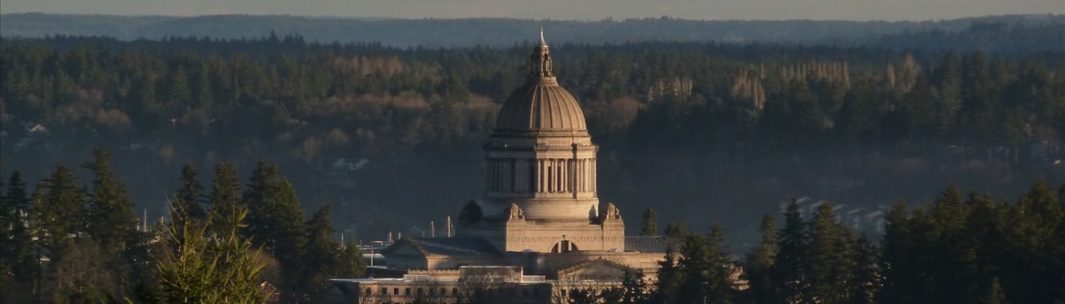 The Washington State Capitol dome rising above the treeline in Olympia, WA